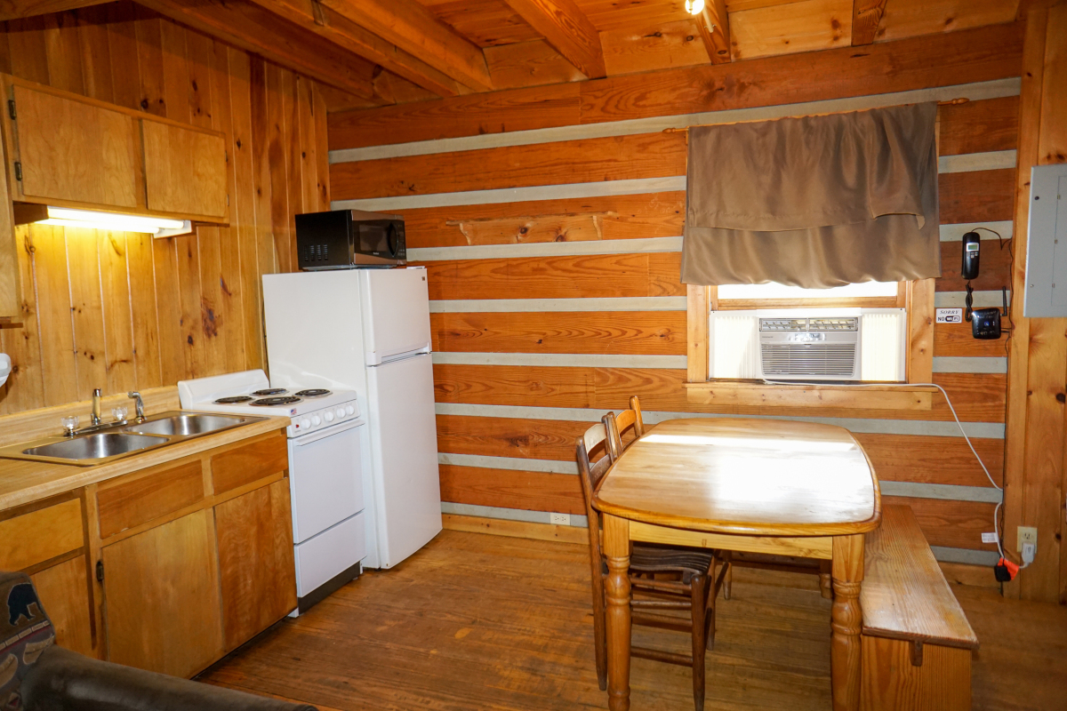 Ol'Smoky Log Cabin on the River Unit 1
