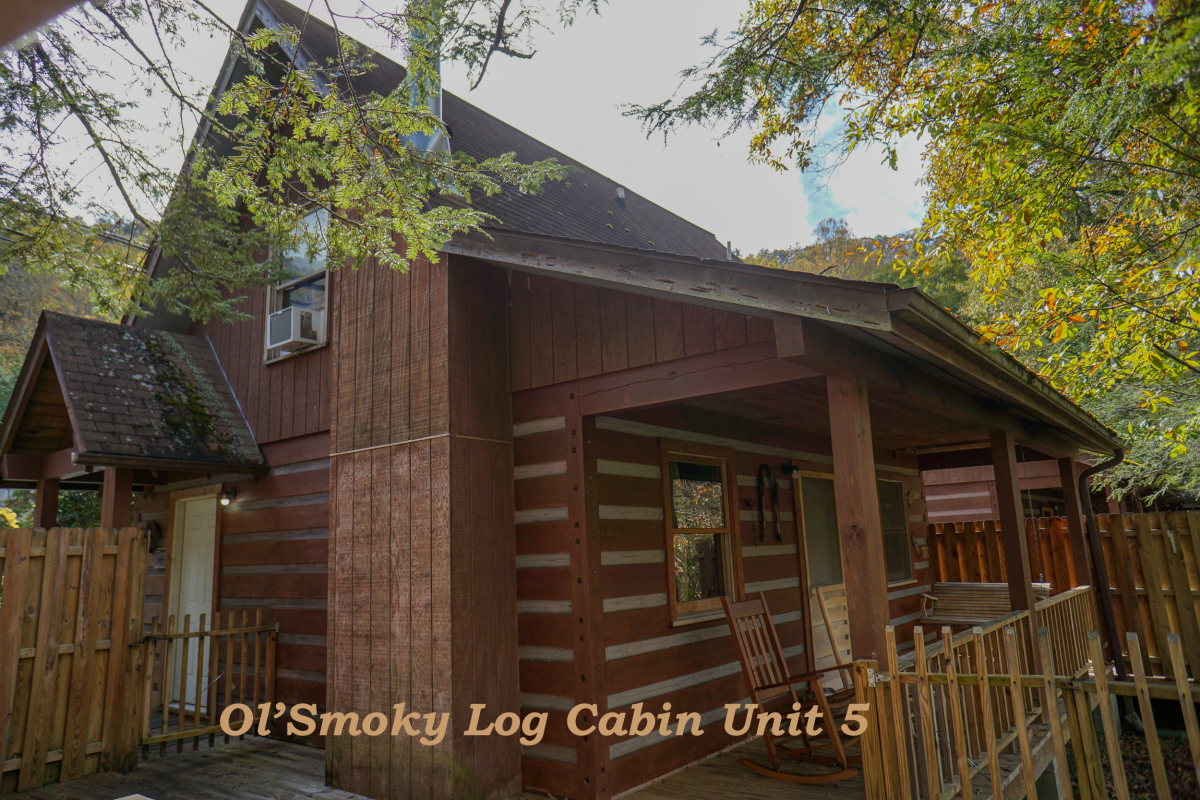 Ol'Smoky Log Cabin on the River Unit  5