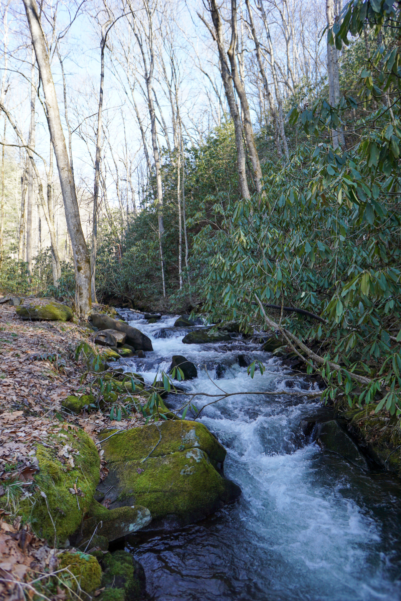 Mountain Creek Getaway